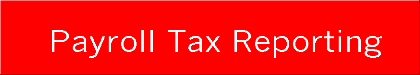 Payroll tax reporting programs